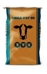 Mega fat 88 pack product listing