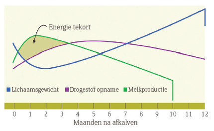 Grafiek energiebehoefte