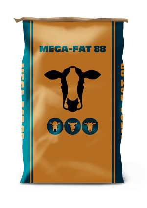 Mega fat 88 pack product detail