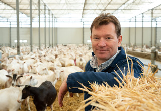 Peter van dooren geiten 23 09 2020.105 listing