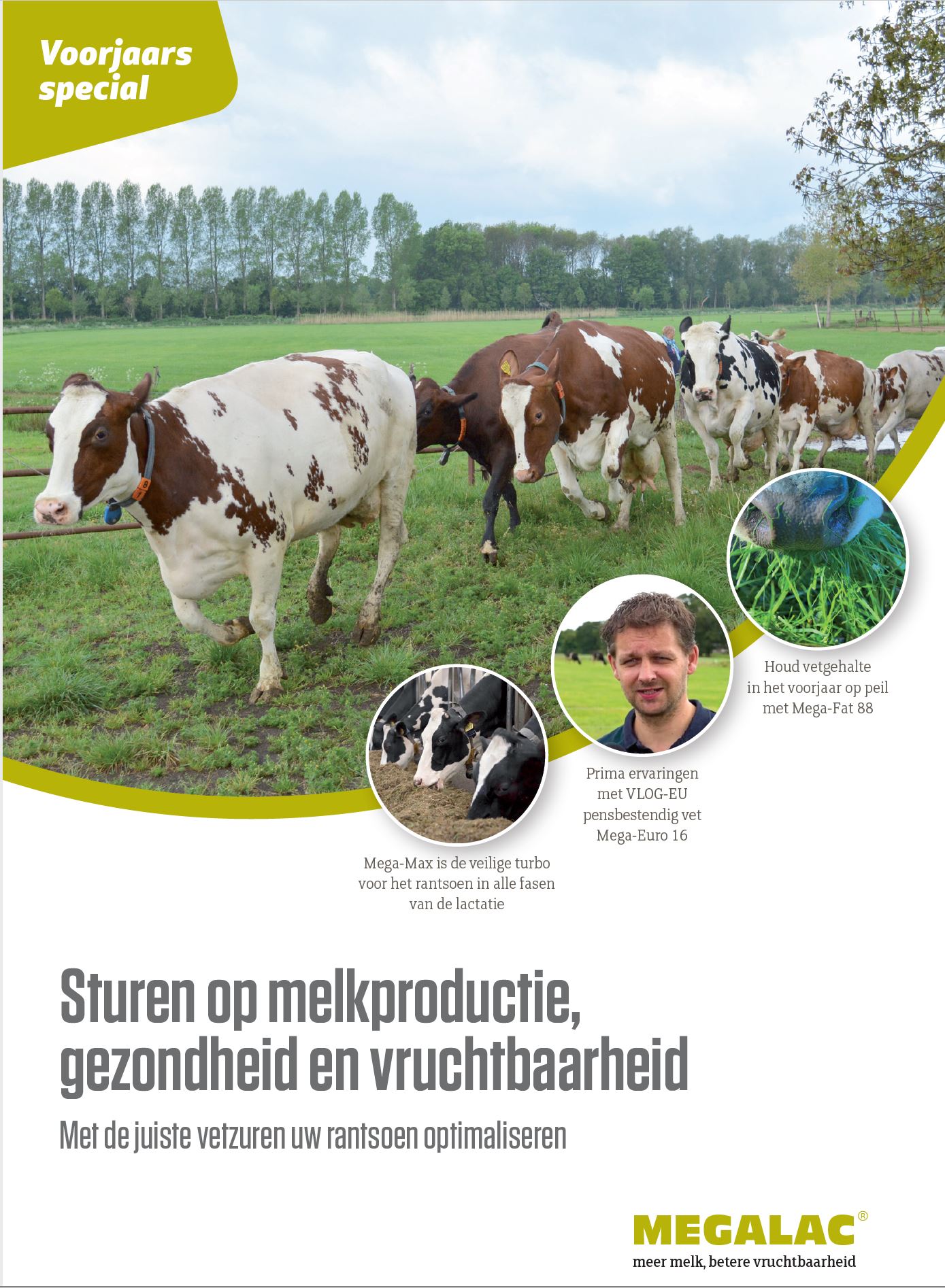 Voorjaarsspecial 2021
