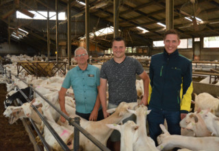 Foto geitenhouder breij megafat listing