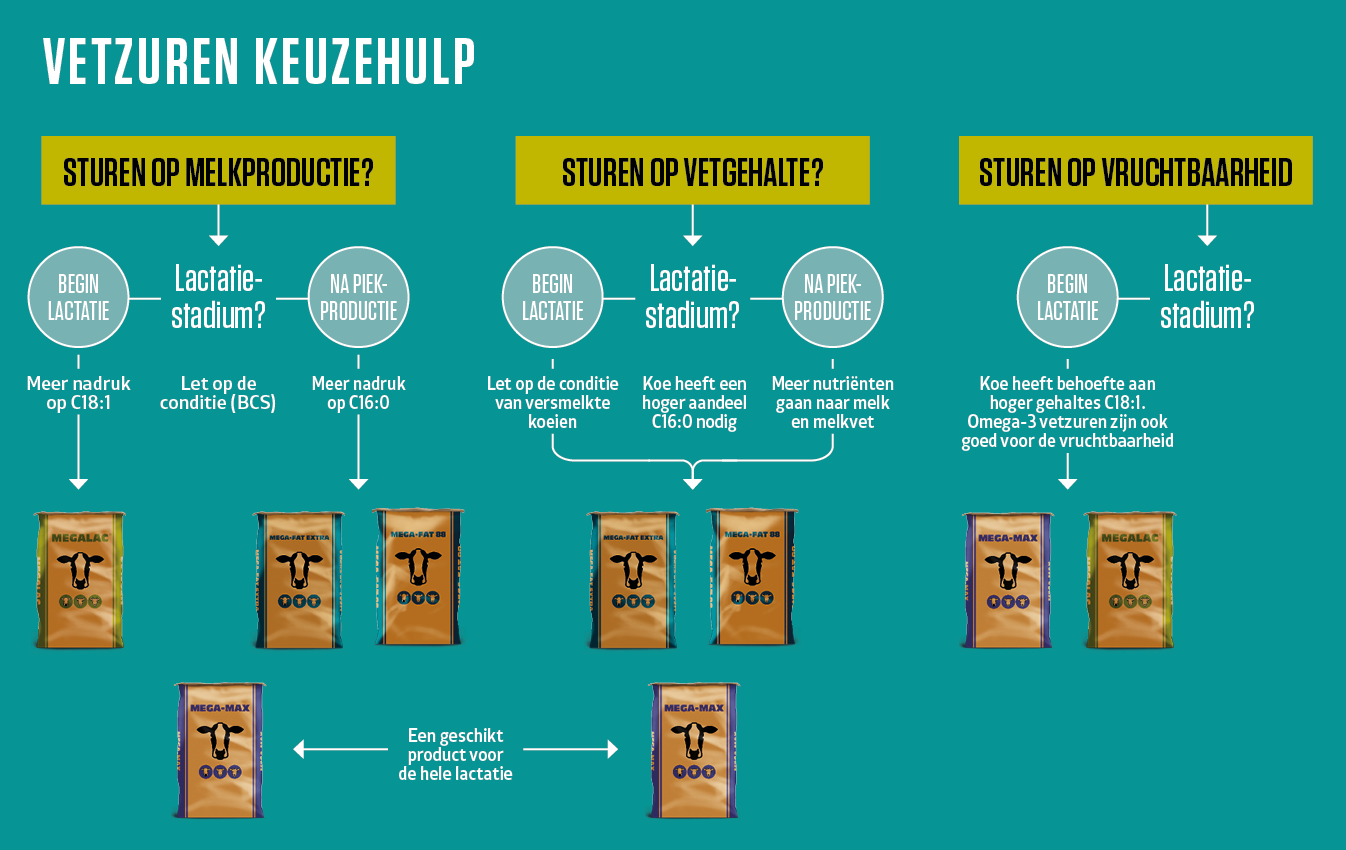 Vetzuren keuzehulp