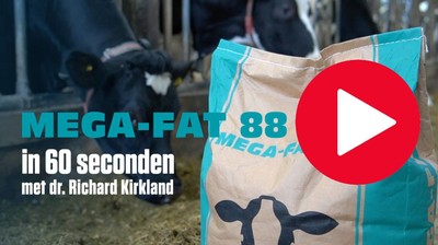 Mega-Fat88 - 60 seconds - afbeelding