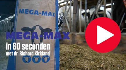 MegaMax - 60 seconds