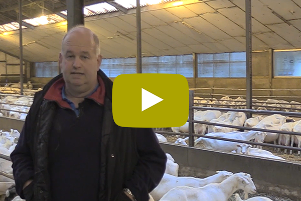 Geitenhouder Christ Schippers