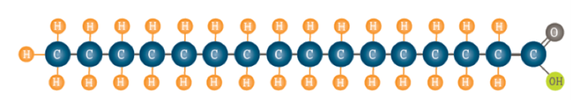Structuurformule palmitinezuur