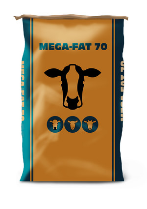 Mega-Fat 70