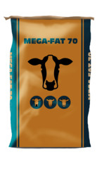 Mega fat 70 pack product listing