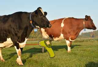 Hoofdafbeelding melkvee listing
