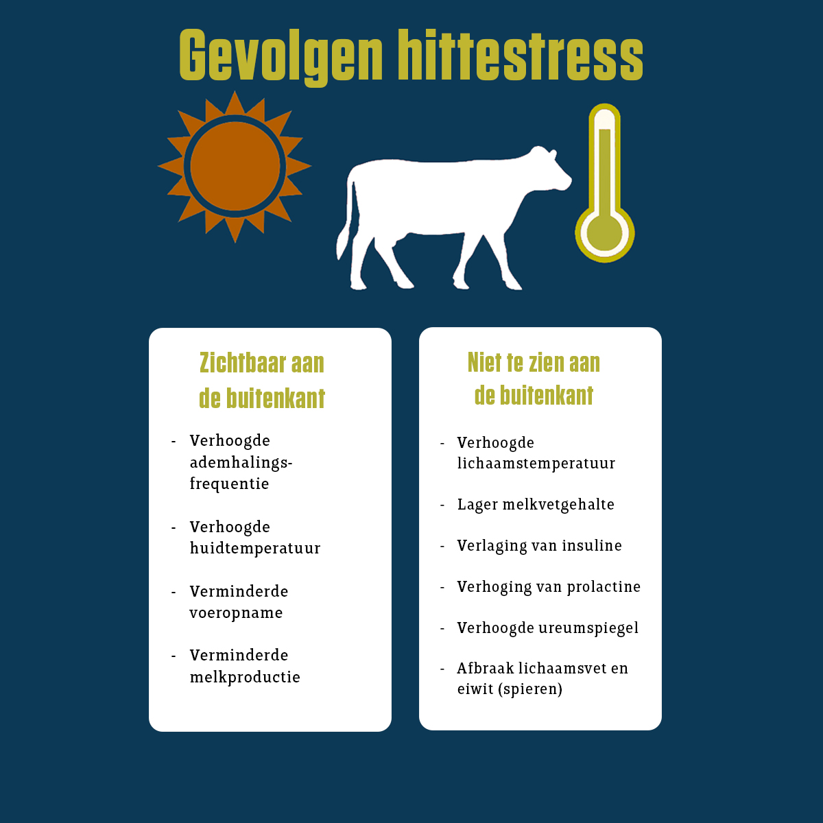 Infographic Hittestress schema