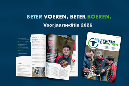 Beeld voorjaarseditie bvbb5 detail