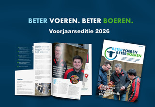 Beeld voorjaarseditie bvbb5 listing